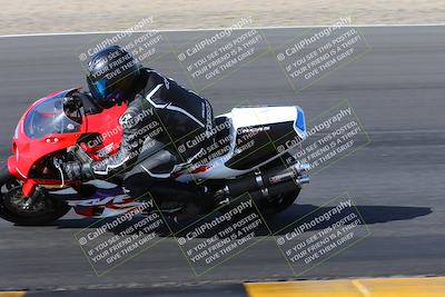 media/Feb-04-2023-SoCal Trackdays (Sat) [[8a776bf2c3]]/Turn 6 Inside (1025am)/